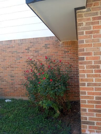 Commercial Brick Unit