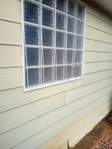 Algae Staining on Brick (4)